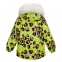 Зимовий дитячий комплект для дівчат Joiks KB-81, колір салатовий 3