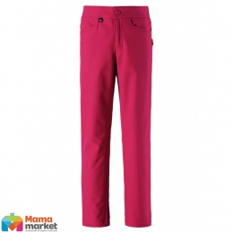 Брюки Reima Softshell 532108, цвет 3560
