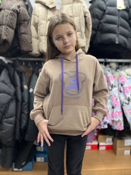 Утеплене худі A`M 23050, колір коричневий