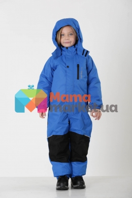 Детский зимний комбинезон Reima Pakuri 520280, цвет 6500