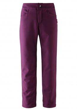 Брюки демисезонные на флисе Reima SoftShell 532188, цвет 4960